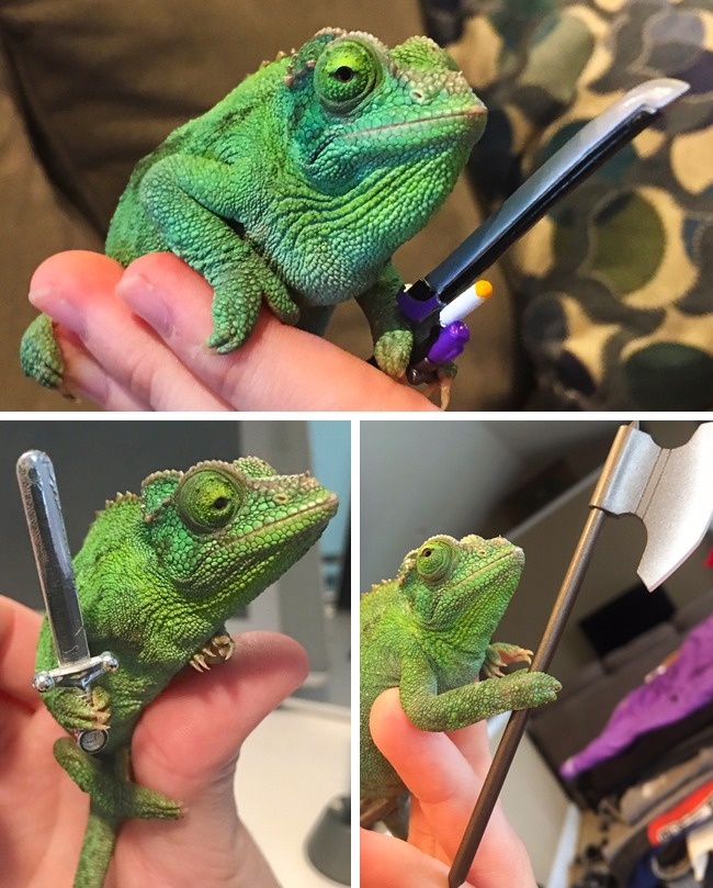 Illustration de l'article : Ces 21 photographies montrent l’absurdité de certaines situations