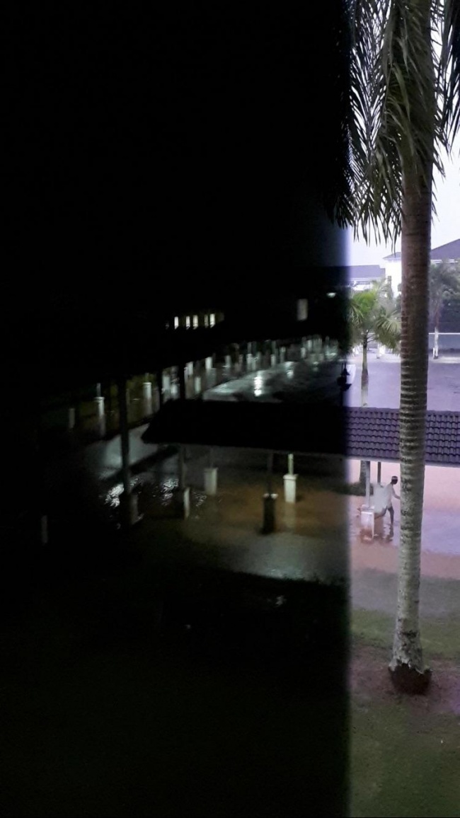 Illustration de l'article : 26 photos captivantes ayant été prises par erreur