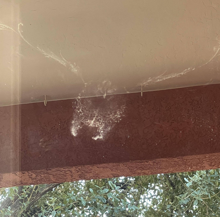 Illustration de l'article : Ces 16 photos qui illustrent les tournures amusantes du quotidien