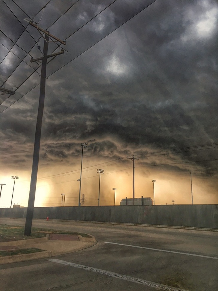 Illustration de l'article : Ces 15 photos de curiosités qui n'ont pas été retouchées