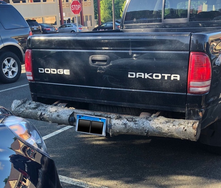 Illustration de l'article : Ces 20 photos de personnes qui ne devraient rien toucher