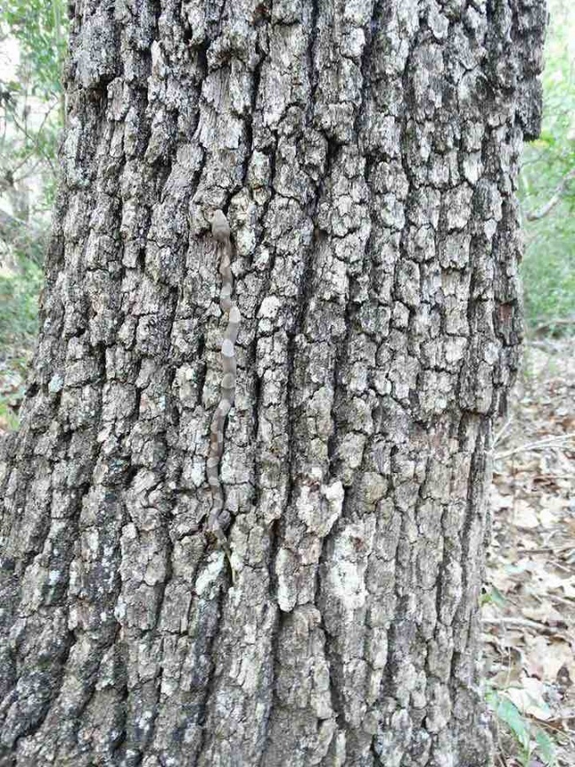 Illustration de l'article : Ces 25 photos trompent la vision grâce à l'angle de vue