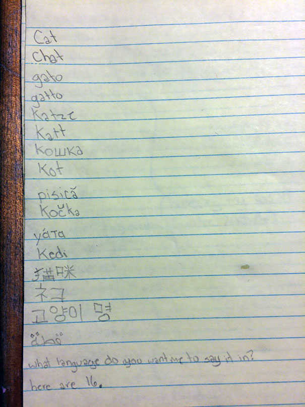 Illustration de l'article : Ces 16 enfants qui sont amusants sans le savoir