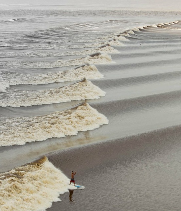 Illustration de l'article : Ces 21 images qui concurrencent Photoshop