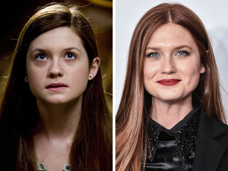 Illustration de l'article : Ces 12 acteurs transformés par la saga Harry Potter