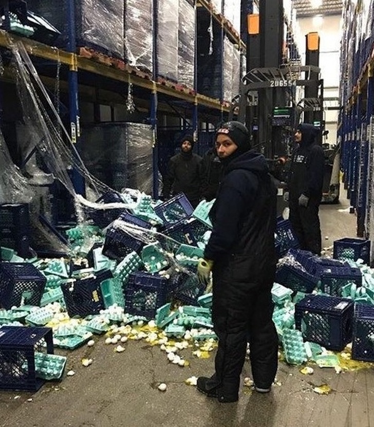 Illustration de l'article : Ces 13 photos qui montrent ce que c'est que d'avoir la poisse