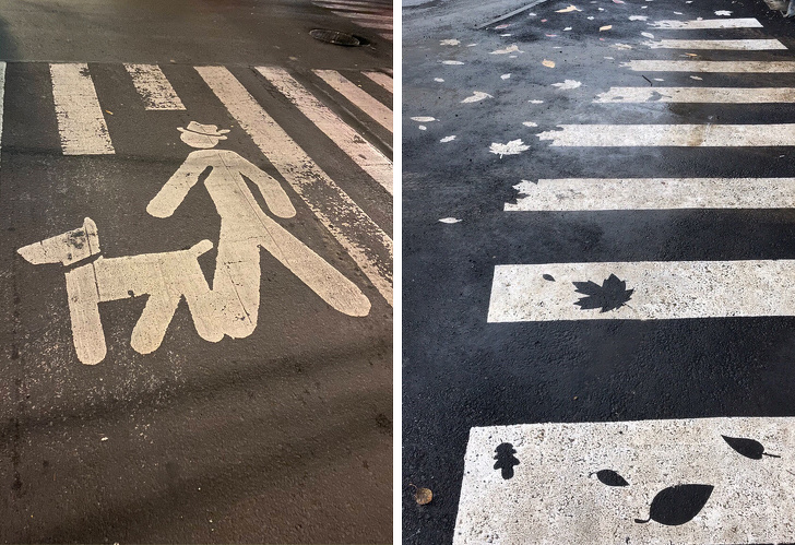 Illustration de l'article : Ces 20 choses modifiées pour devenir originales