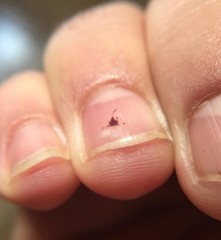 Illustration de l'article : Ces 23 curiosités qui montrent qu'il faut être attentif autour de soi