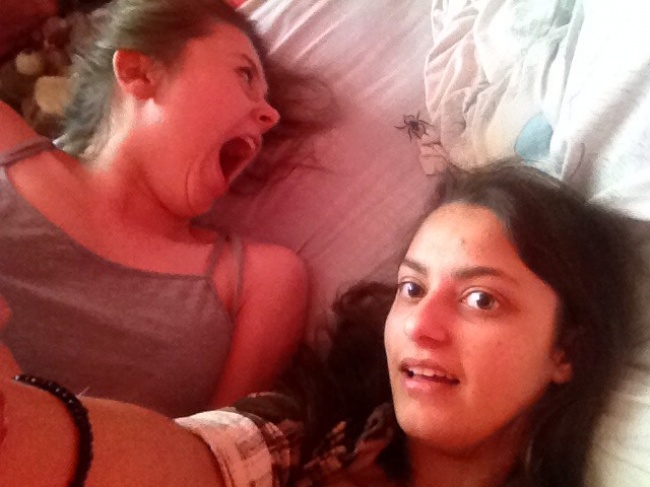 Illustration de l'article : Ces 18 photos n’ont d’intérêt que grâce à leur caractère inattendu