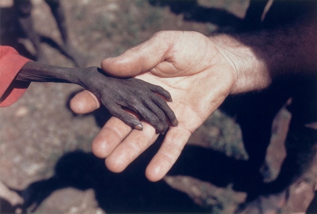 Illustration de l'article : Ces 13 histoires émouvantes redonnent foi en l’humanité