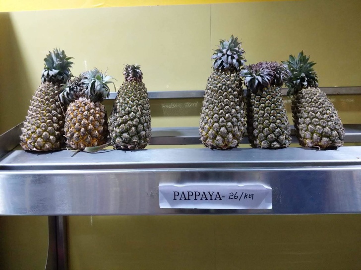 Illustration de l'article : Ces 20 Personnes qui commettent l'erreur &agrave; ne pas faire dans leur travail 