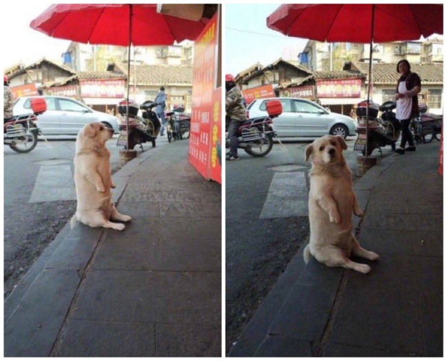 Illustration de l'article : 28 moments qui sortent de l'ordinaire capturés dans la vie quotidienne