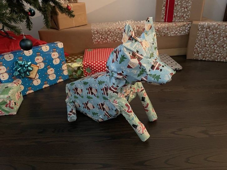 Illustration de l'article : Ces 15 emballages cadeaux qui ne sont pas comme les autres