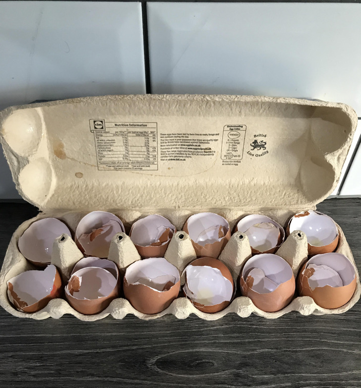 Illustration de l'article : Ces 15 photos qui mettent la patience à rude épreuve