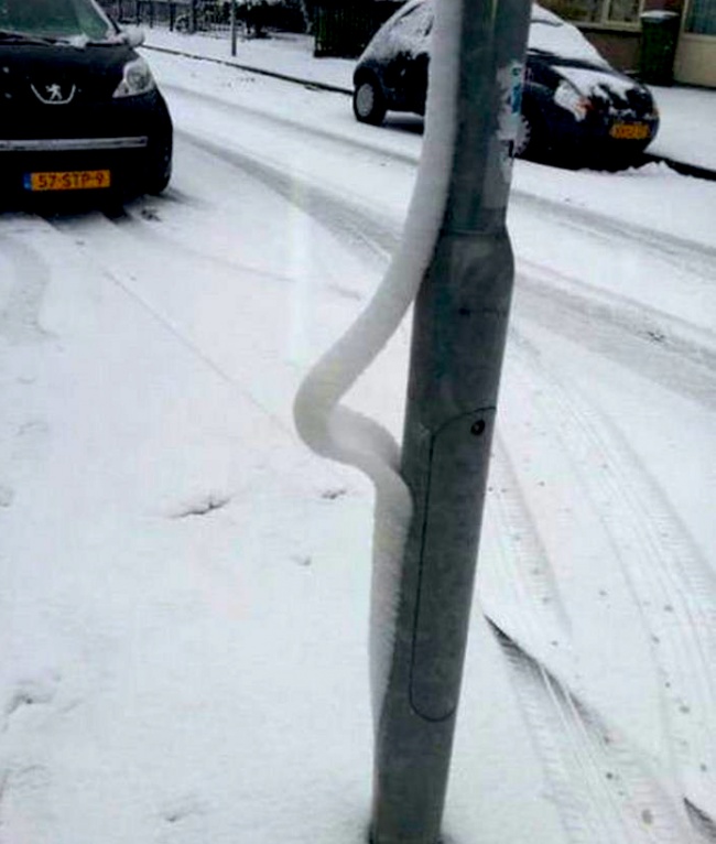 Illustration de l'article : 21 photos sans retouche qui vont vous faire tourner la tête