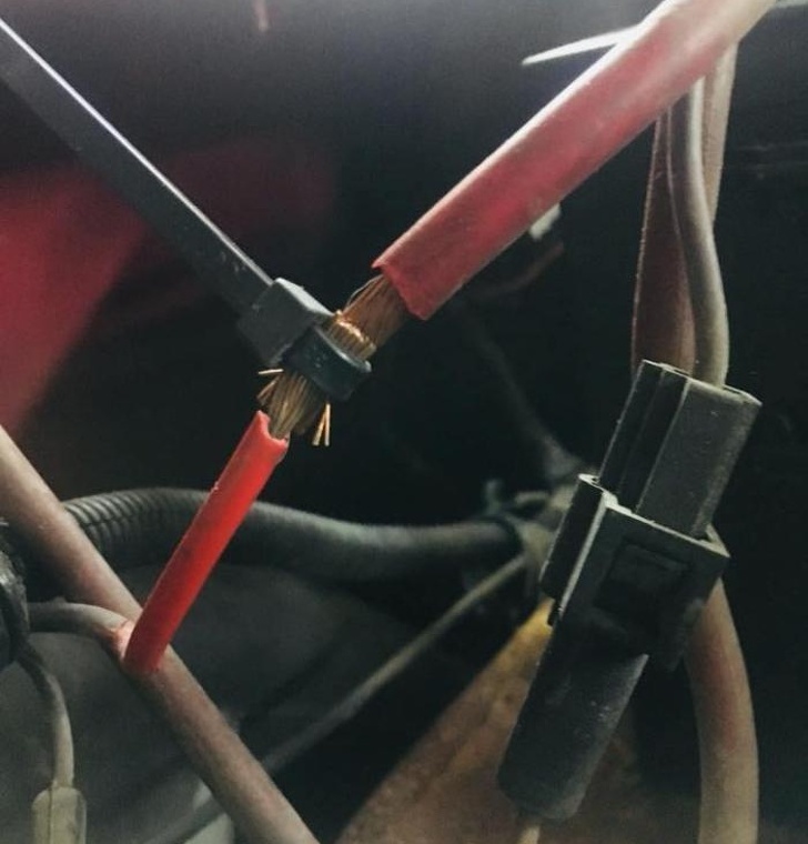 Illustration de l'article : Ces 15 photos qui mettent les nerfs à rude épreuve 