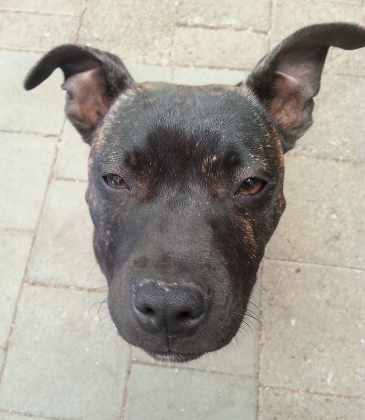 Illustration de l'article : Ces 25 photos font apparaître autre chose pour le cerveau