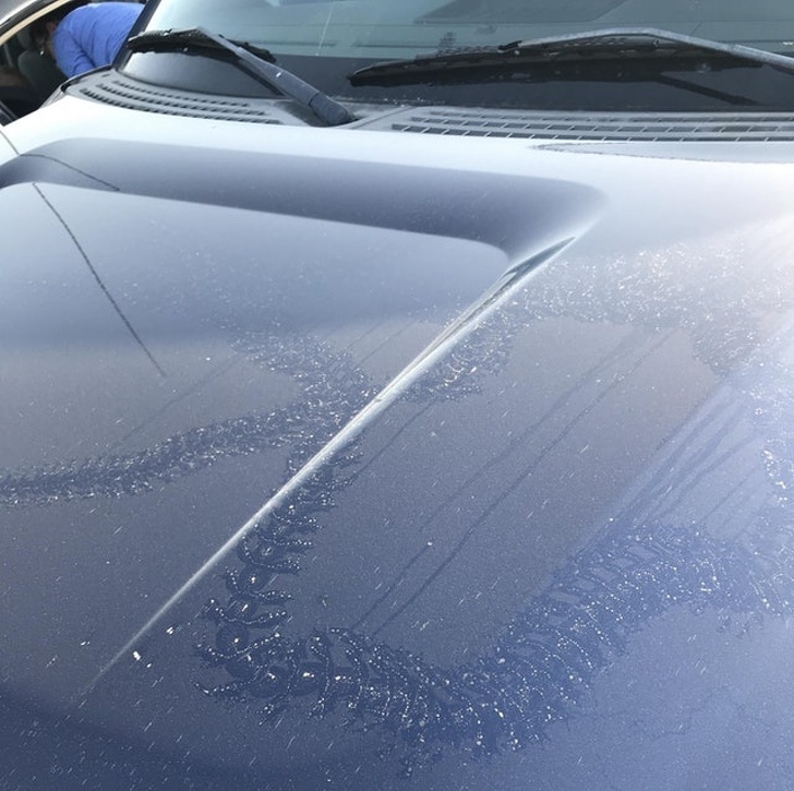 Illustration de l'article : Ces 22 personnes qui ont croisé de curieuses situations