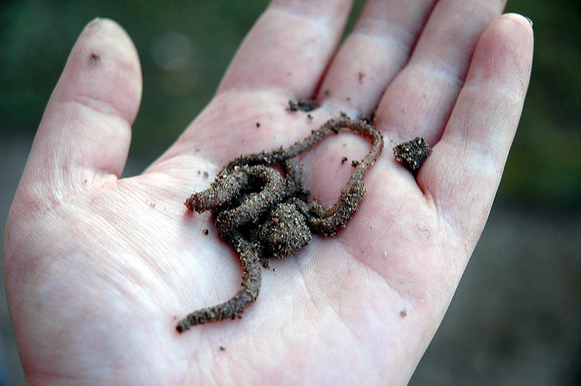 Illustration de l'article : 14 métiers insolites qui pourraient vous tenter