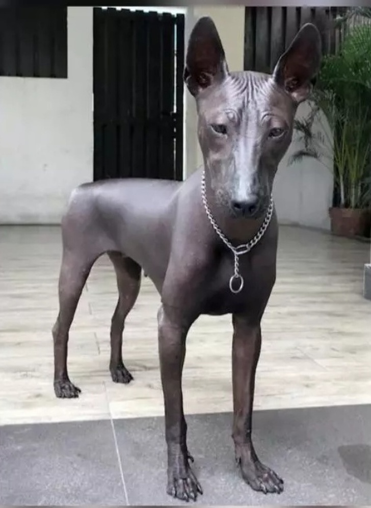 Illustration de l'article : Ces 21 photos de choses qui existent réellement