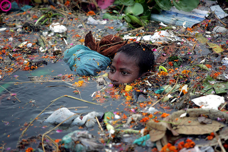 Illustration de l'article : Ces 15 photos qui montrent que l'on doit agir contre la pollution