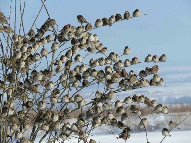 Illustration de l'article : Ces 14 photos de choses étranges et inhabituelles