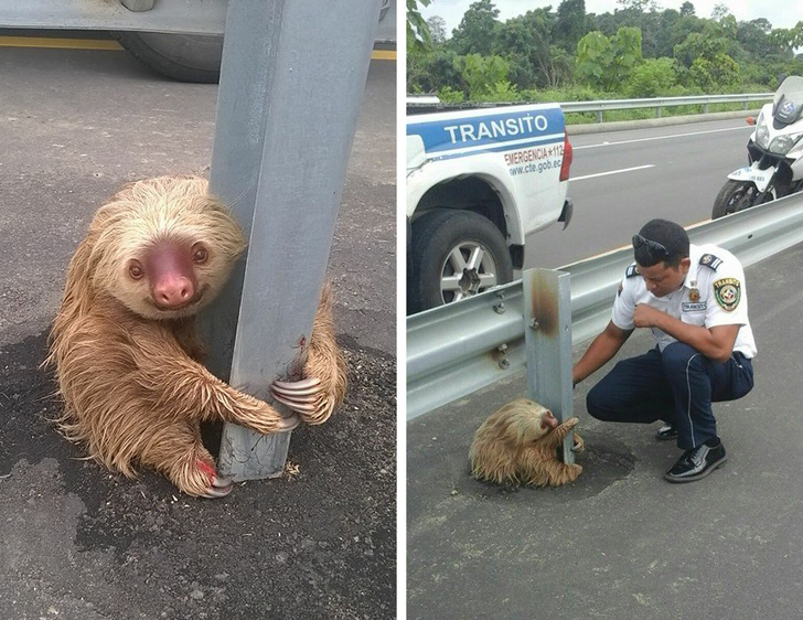 Illustration de l'article : Ces 17 photos qui montrent la générosité de l'être humain