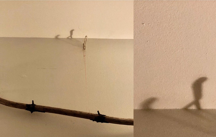 Illustration de l'article : Ces 19 ombres bien différentes de leur corps réel