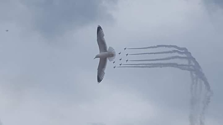 Illustration de l'article : Ces 19 photos qui produisent une illusion parfaite