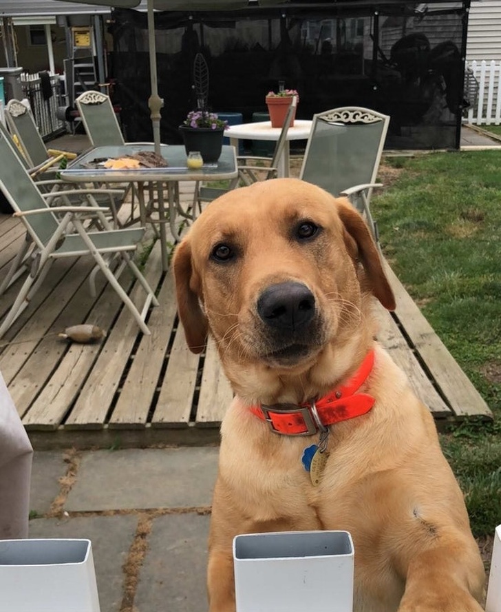 Illustration de l'article : Ces 18 photos qui représentent un souvenir émouvant vécu par ces personnes