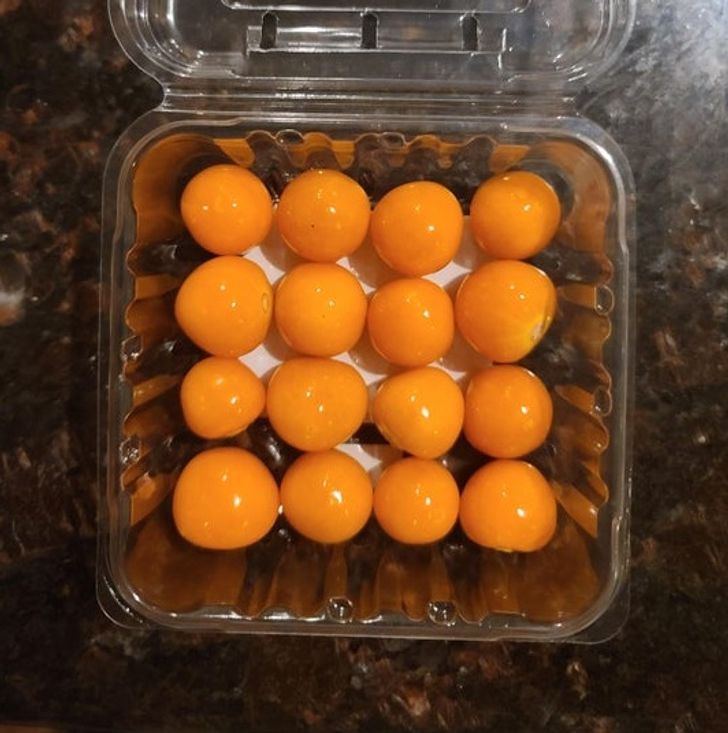 Illustration de l'article : Ces 19 photos qui illustrent la beaut&eacute; de la nature 