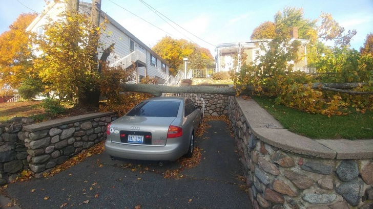 Illustration de l'article : Ces 19 situations où la chance est apparue au bon moment