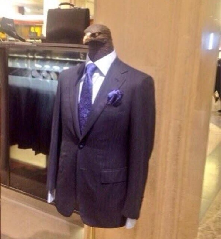 Illustration de l'article : Ces 14 personnes pour qui la logique est différente