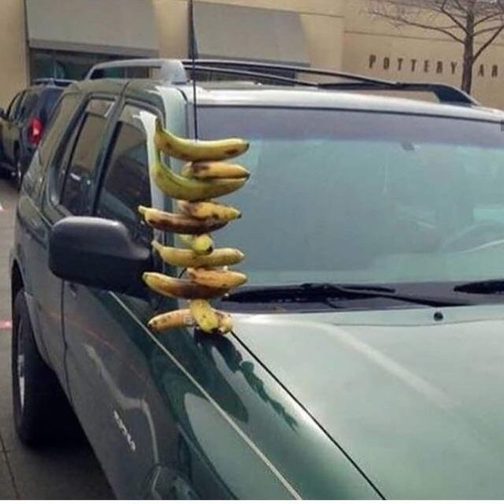 Illustration de l'article : Ces 19 moments assez fous dans le monde