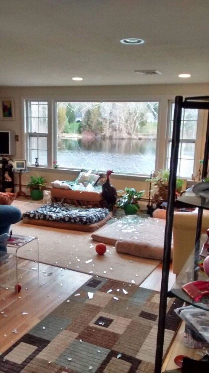 Illustration de l'article : Ces 18 personnes qui passent une bien mauvaise journée