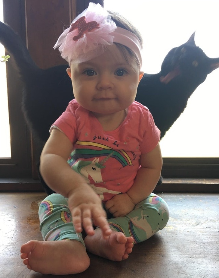 Illustration de l'article : Ces 21 photos où l'arrière-plan a pris le dessus sur le devant