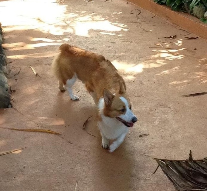 Illustration de l'article : Ces 20 photos panoramiques qui ont mal tourné