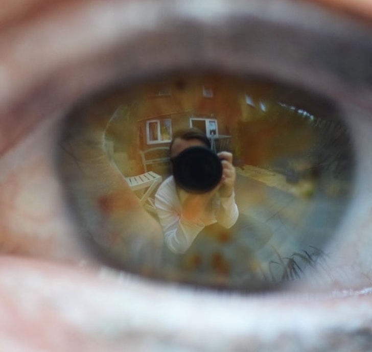 Illustration de l'article : Ces 15 curiosités qui montrent qu'on ne connait pas tout