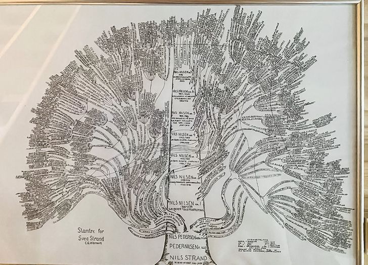 Illustration de l'article : Ces 18 situations comme on en rencontre rarement