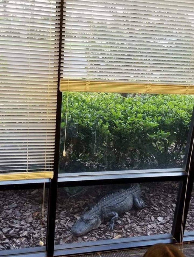 Illustration de l'article : 28 personnes ayant vécu le pire jour de leur vie au travail