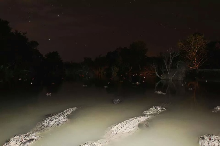 Illustration de l'article : Ces 19 photos effrayantes sauf pour les amateurs de sensations fortes