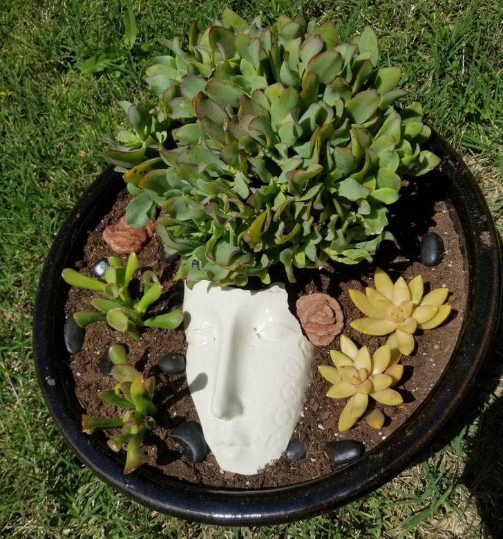 Illustration de l'article : Ces 15 photos de maladresses transformées en idées de génie