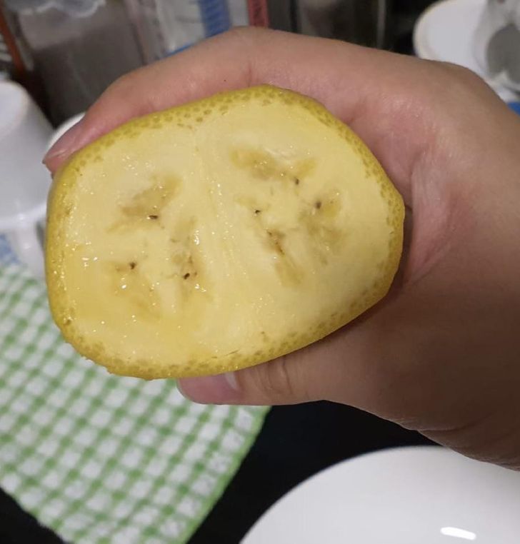 Illustration de l'article : Ces 19 personnes qui ont eu un joli coup du destin