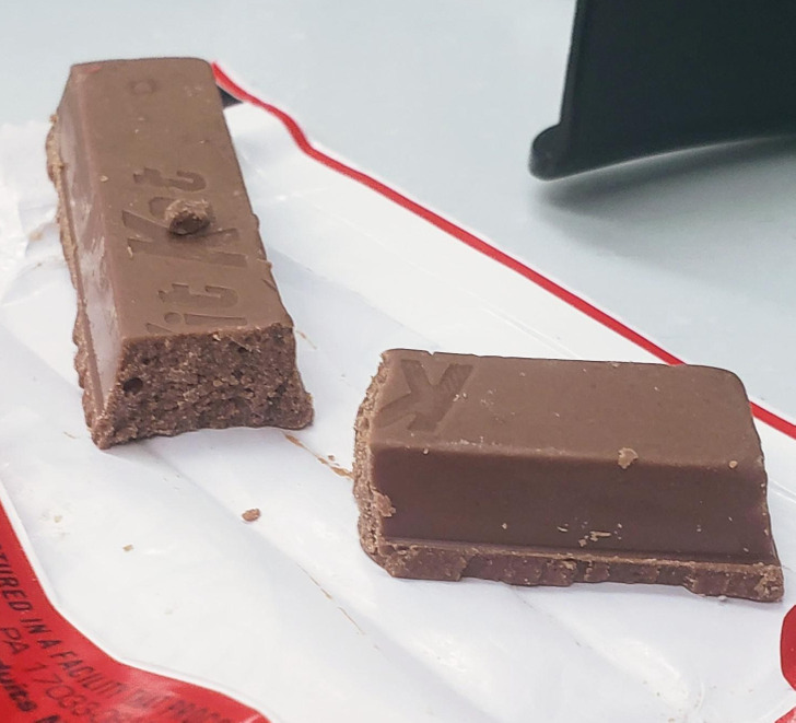 Illustration de l'article : Ces 19 photos qui témoignent des mauvais jours