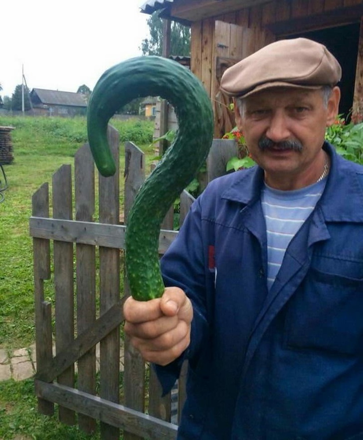 Illustration de l'article : Ces 18 personnes qui manquent d'un peu de logique