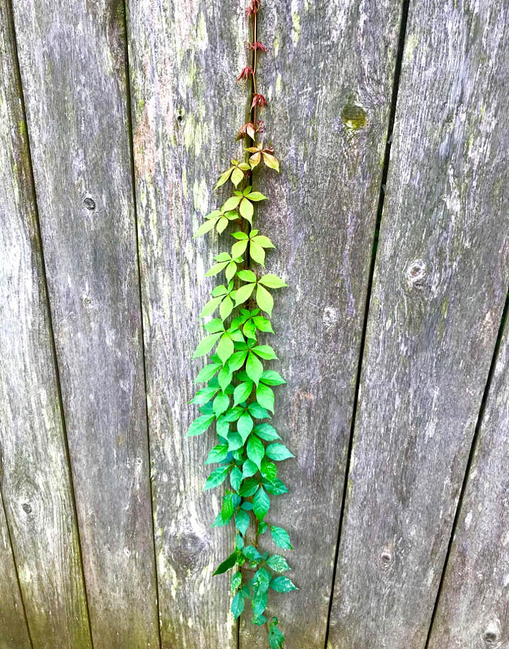 Illustration de l'article : Ces 20 phénomènes et situations liés au hasard de la vie