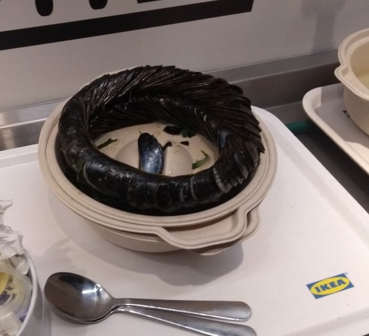 Illustration de l'article : Ces 23 photos qui tutoient la perfection tant recherchée