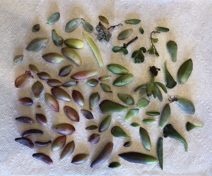 Illustration de l'article : Ces 21 photos montrent le respect de la loi, mais pas de la règle