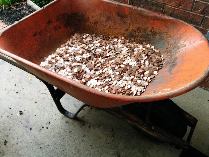 Illustration de l'article : Ces 17 photos de voisins pas vraiment fréquentables