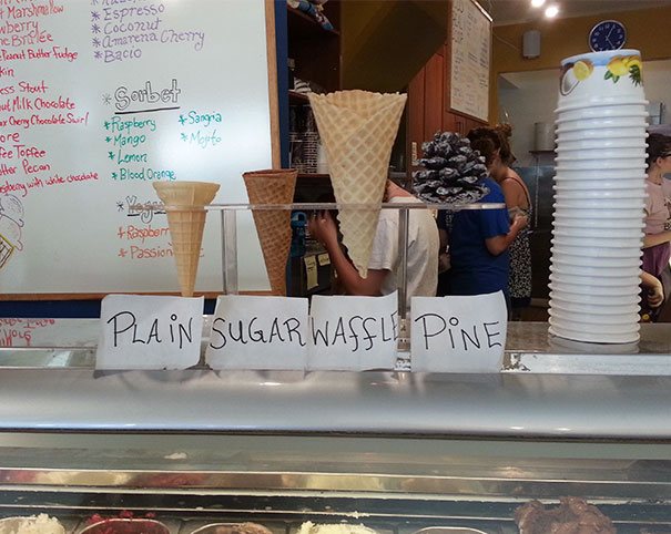 Illustration de l'article : Qui a vraiment le niveau pour trouver l'intrus sur ces 100 photos ? 